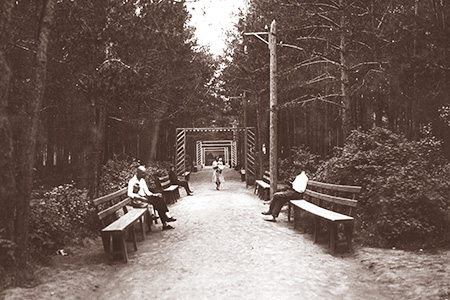 САД «СВОБОДА» САД «СВОБОДА»