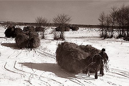 РАЗБОЙ — НОРМА ЖИЗНИ РАЗБОЙ — НОРМА ЖИЗНИ