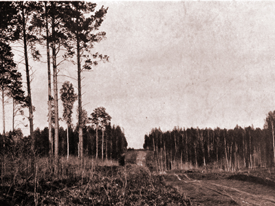 ПЛАН КУЗНЕЦОВА